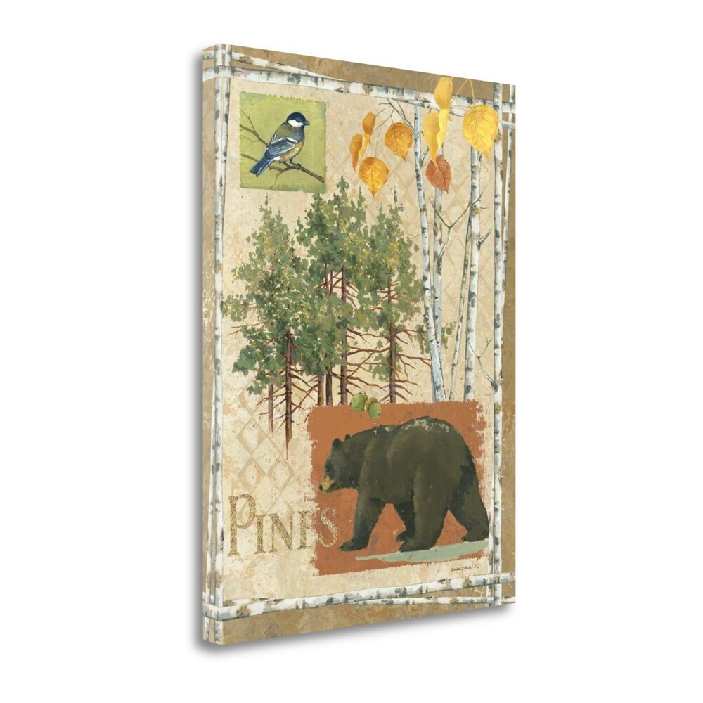 Bl Bear Pines by Anita Phillips - Premium Giclee Art Print on Gallery Wrapped Canvas, Ready to Hang Wall Decor - Perfect for Living Room, Bedroom & Office