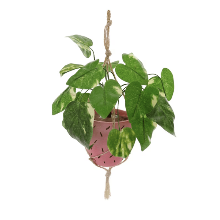 Elegant Hanging Plant Bauble - Decorative Glass Terrarium for Indoor Plants, Succulents & Air Plants | Perfect for Home, Office & Garden Decor