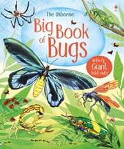 The Big Book of Big Bugs - Giant Insect Encyclopedia for Kids & Adults - Perfect for Science Education & Nature Lovers