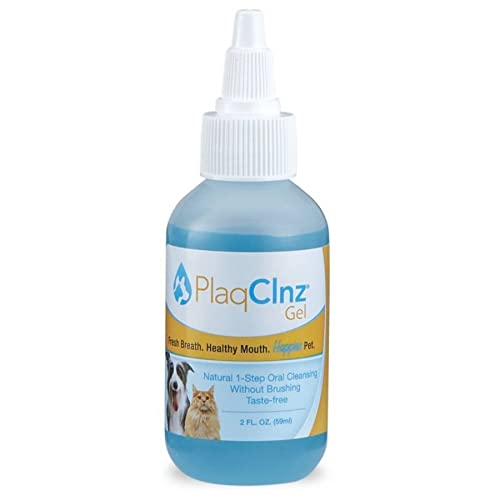Best Daily Treatment Oral Gel for Teeth & Gums - 2 oz | Fast-Acting Mouth Pain Relief & Whitening Solution | Perfect for Sensitive Teeth, Canker Sores & Fresh Breath