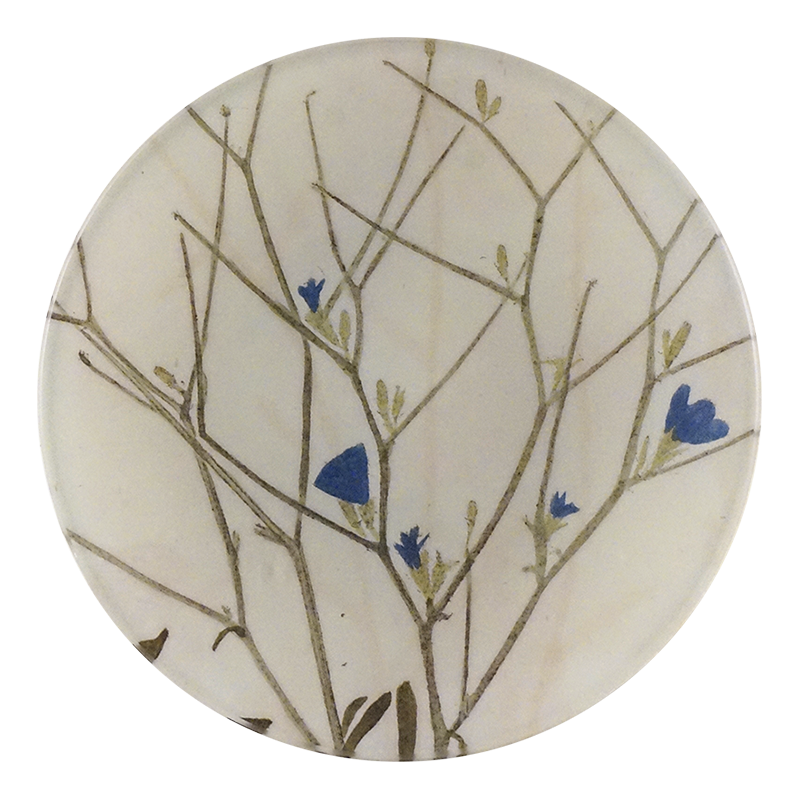 5R Chicory Plant PNG - High-Quality Digital Download for Botanical Designs, Herbal Medicine, and Garden Decor | Perfect for DIY Crafts, Scrapbooking, and Home Decor Projects