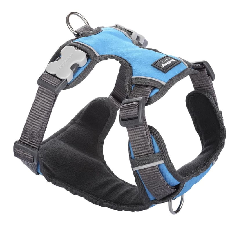 Red Dingo Padded Turquoise Dog Harness (5 Sizes) - Comfortable & Adjustable Pet Walking Gear for Small, Medium & Large Dogs - Perfect for Hiking, Running & Daily Walks