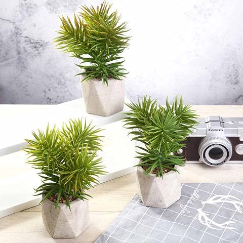 Premium Set of 3 Artificial Succulent Plants - 8 Inch Fake Spiky Crassula in Decorative Pots | Realistic Silk Flowers for Home Office Desk Decor, Wedding Centerpieces & Shelf Styling
