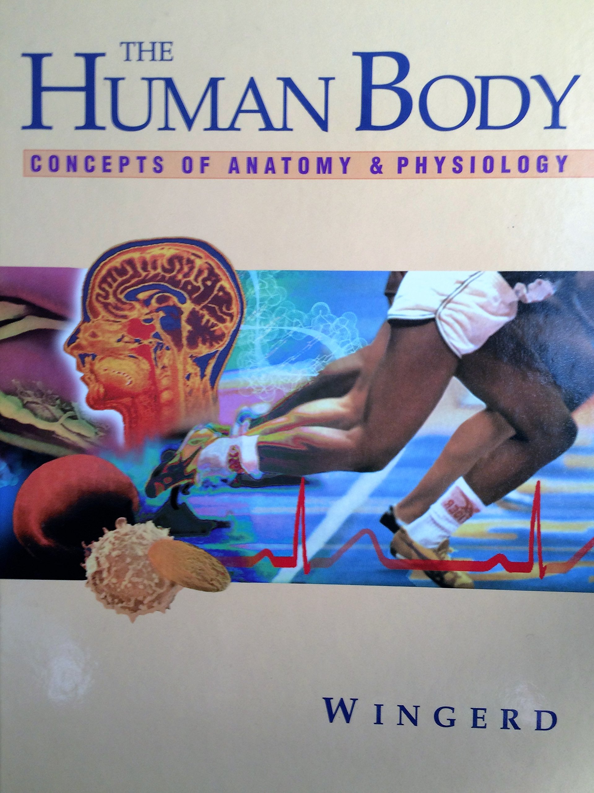 Human Body Anatomy and Physiology Guide - Comprehensive Concepts for Students & Professionals | Perfect for Medical Studies & Healthcare Education