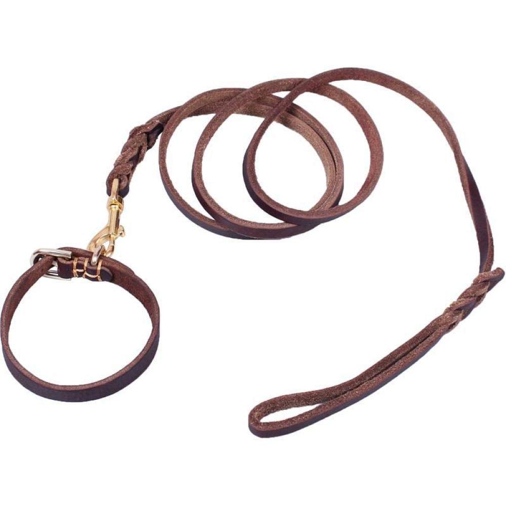 Premium Leather Dog Collar and Leash Set for Small Puppies - Adjustable, Durable & Stylish Pet Accessories for Walking, Training & Outdoor Adventures