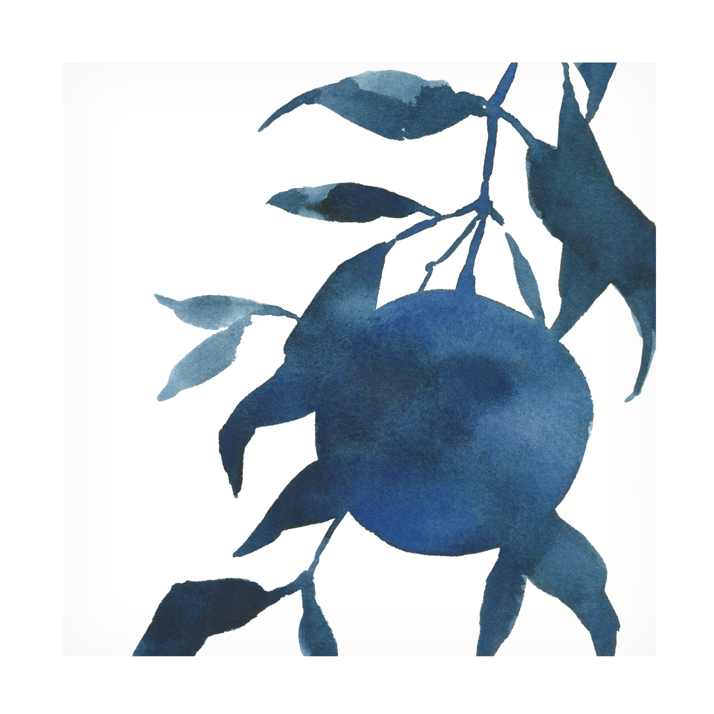 Emma Caroline 'Indigo Oranges I' Canvas Wall Art Print - Modern Abstract Painting for Living Room, Bedroom & Office Decor