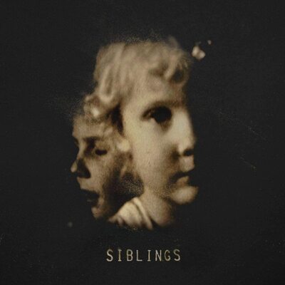 Alex Somers LP Vinyl Record - Siblings Album | Ambient & Experimental Music for Relaxation, Meditation & Study Sessions