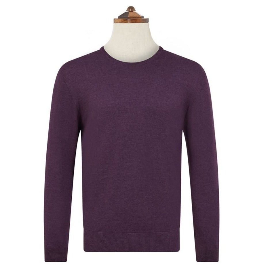 Kyan Purple Crew Neck Long Sleeve Pullover Sweater for Women | Soft Comfortable Casual Knit Top | Perfect for Fall Winter Outfits, Office Wear & Weekend Relaxation