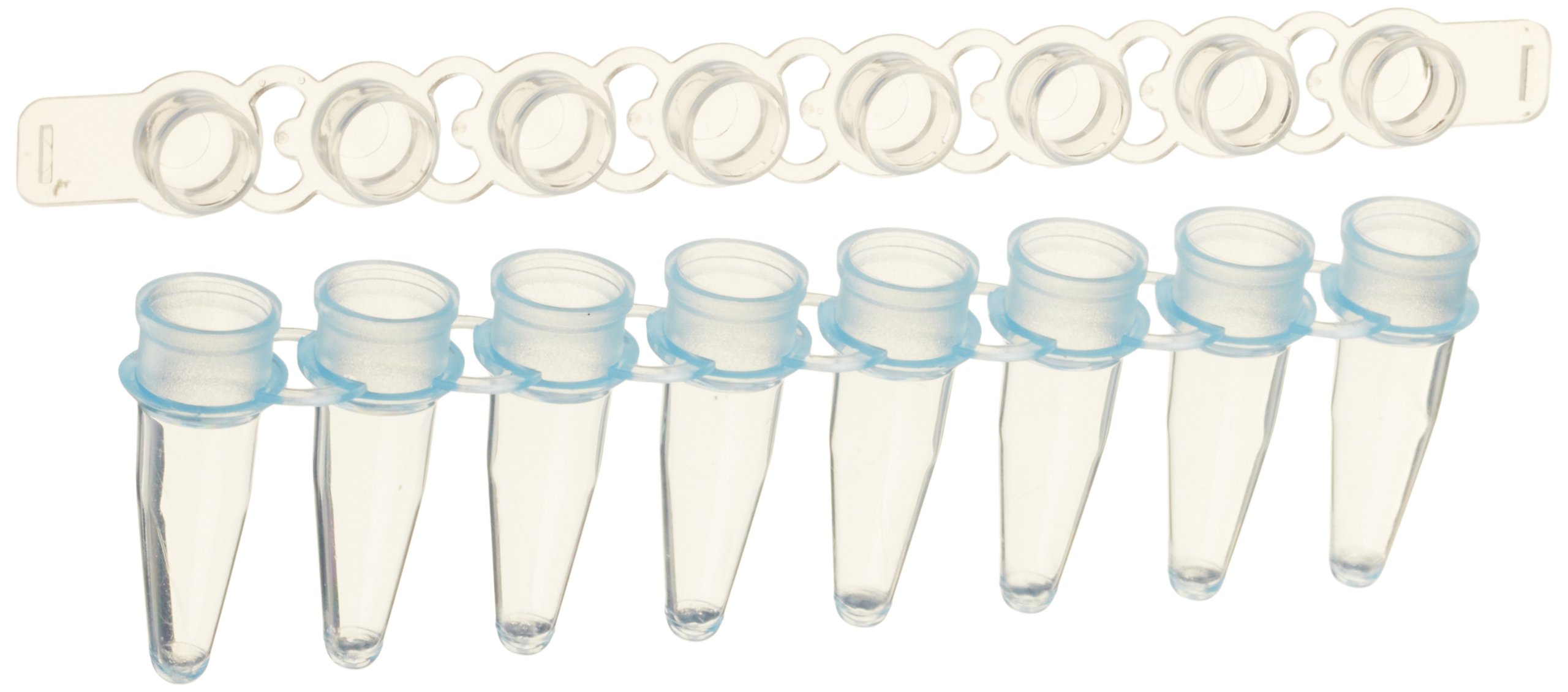 MBP 0.2mL Thin-Wall PCR Strip Tubes with Attached Caps - 80 Pack (Blue) - Ideal for PCR Experiments, DNA/RNA Analysis & Molecular Biology Research