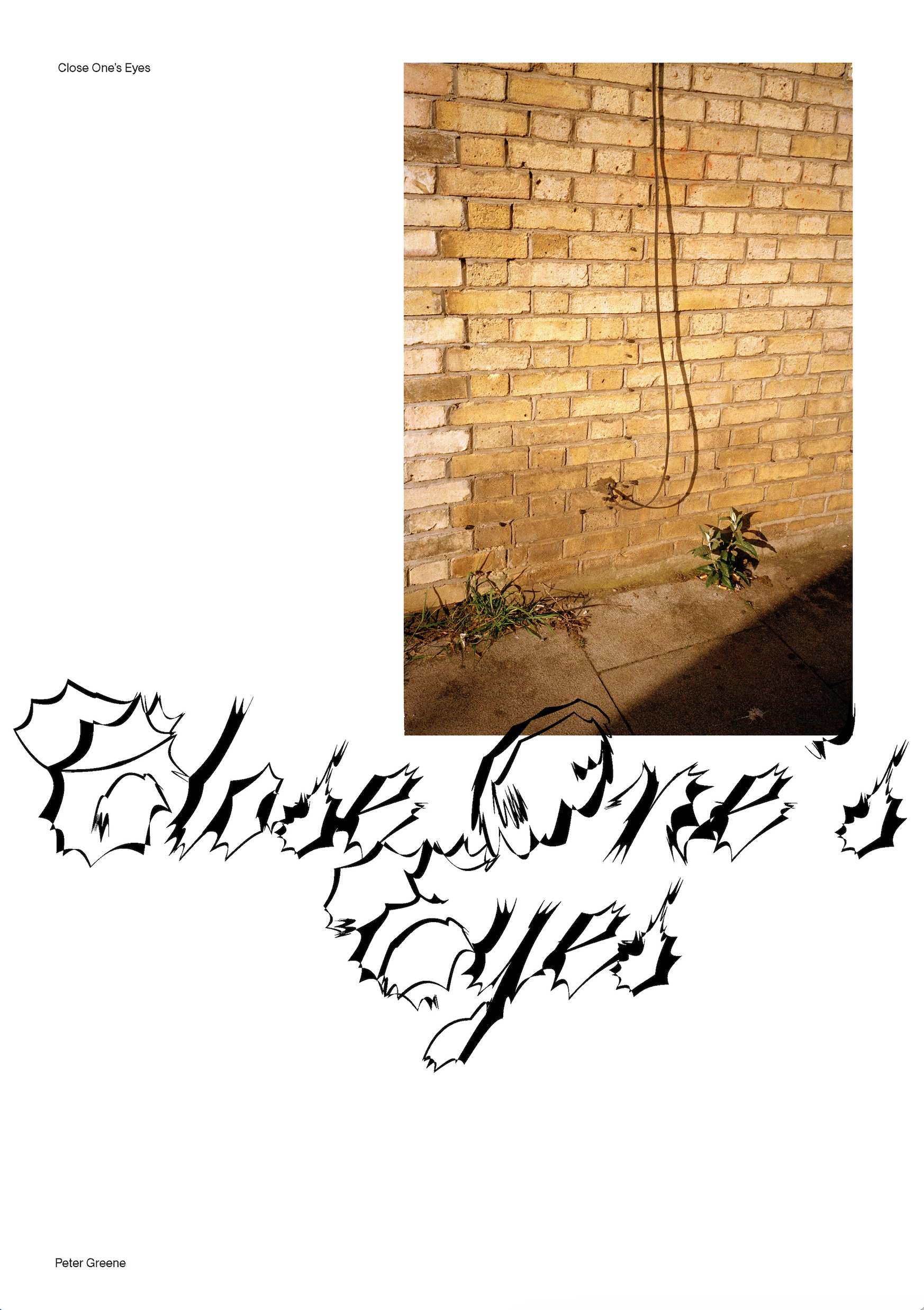 Close One’s Eyes by Peter Greene – Bestselling Mystery Novel for Book Lovers & Thriller Enthusiasts | Perfect for Reading at Home, Travel, or Book Club Discussions