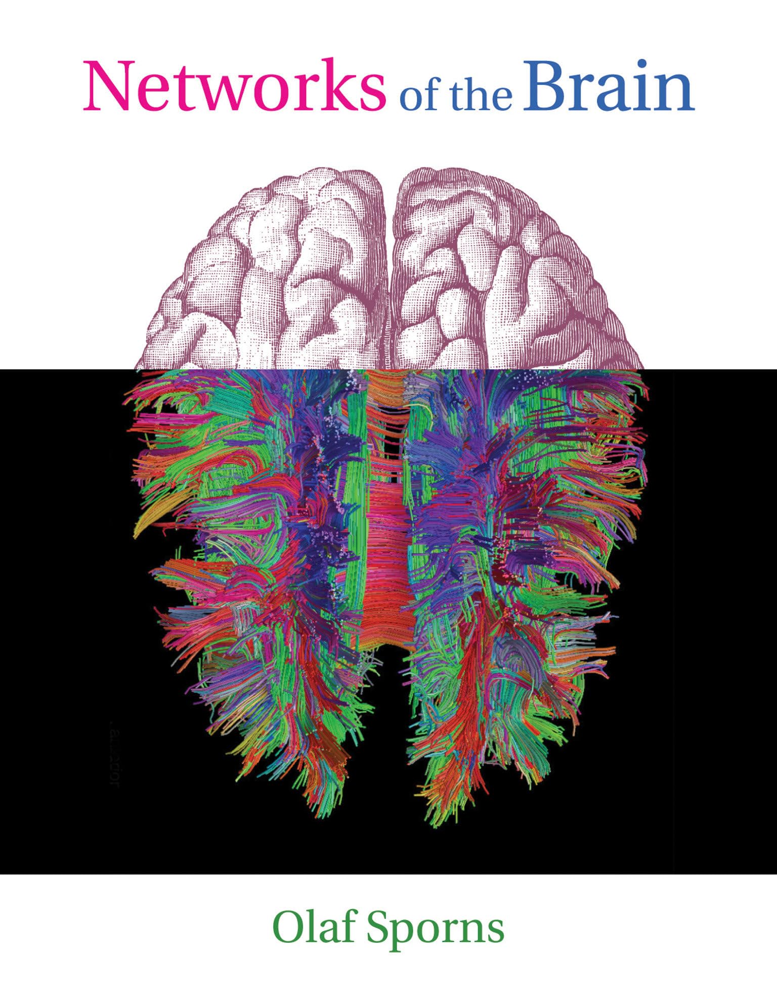 Networks of the Brain: Understanding Neural Connectivity - MIT Press | Neuroscience Book for Researchers & Students | Perfect for Academic Study & Brain Research