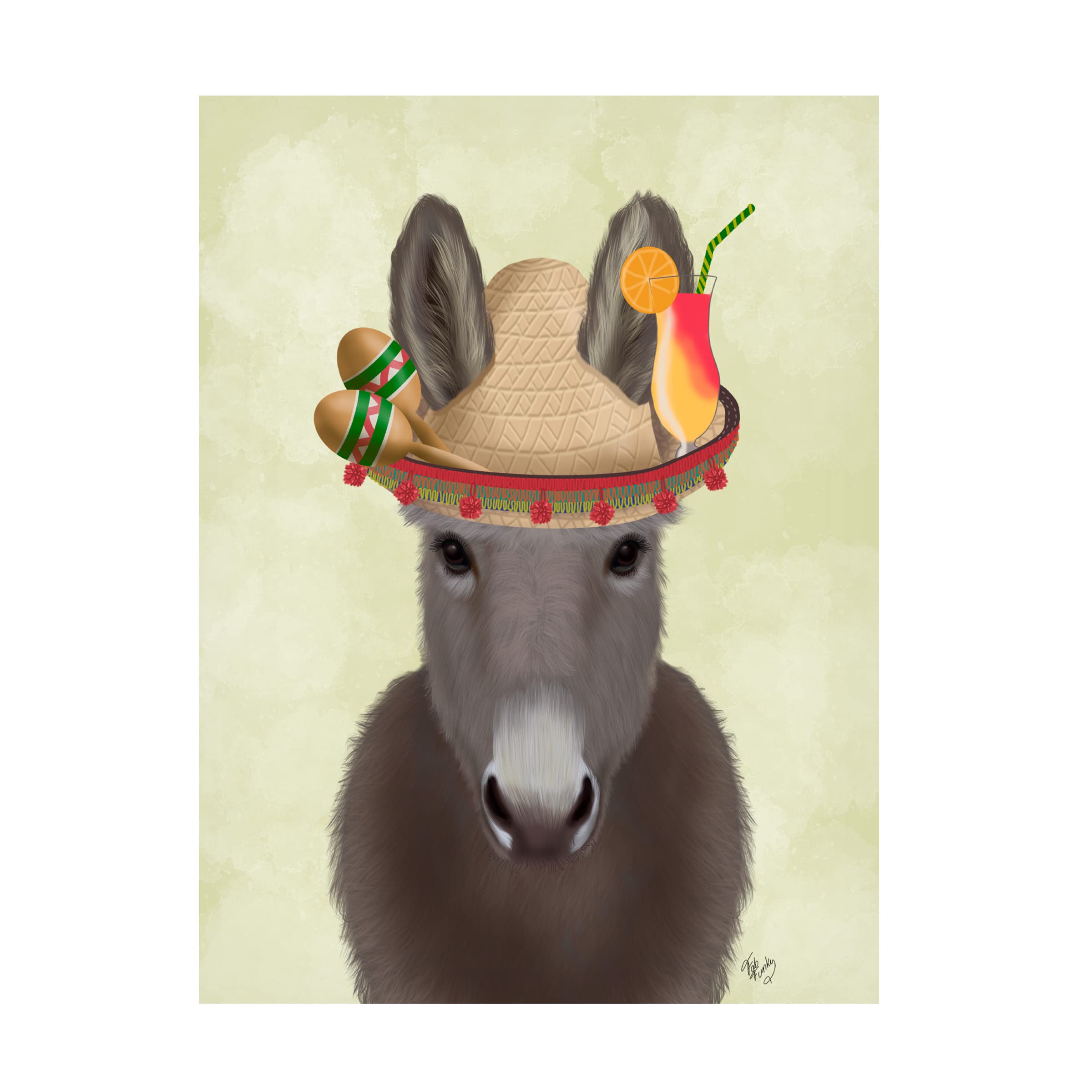Fab Funky 'Donkey Sombrero' Canvas Wall Art Print - Mexican Fiesta Decor, Living Room & Bedroom Wall Decor, Unique Home & Office Artwork