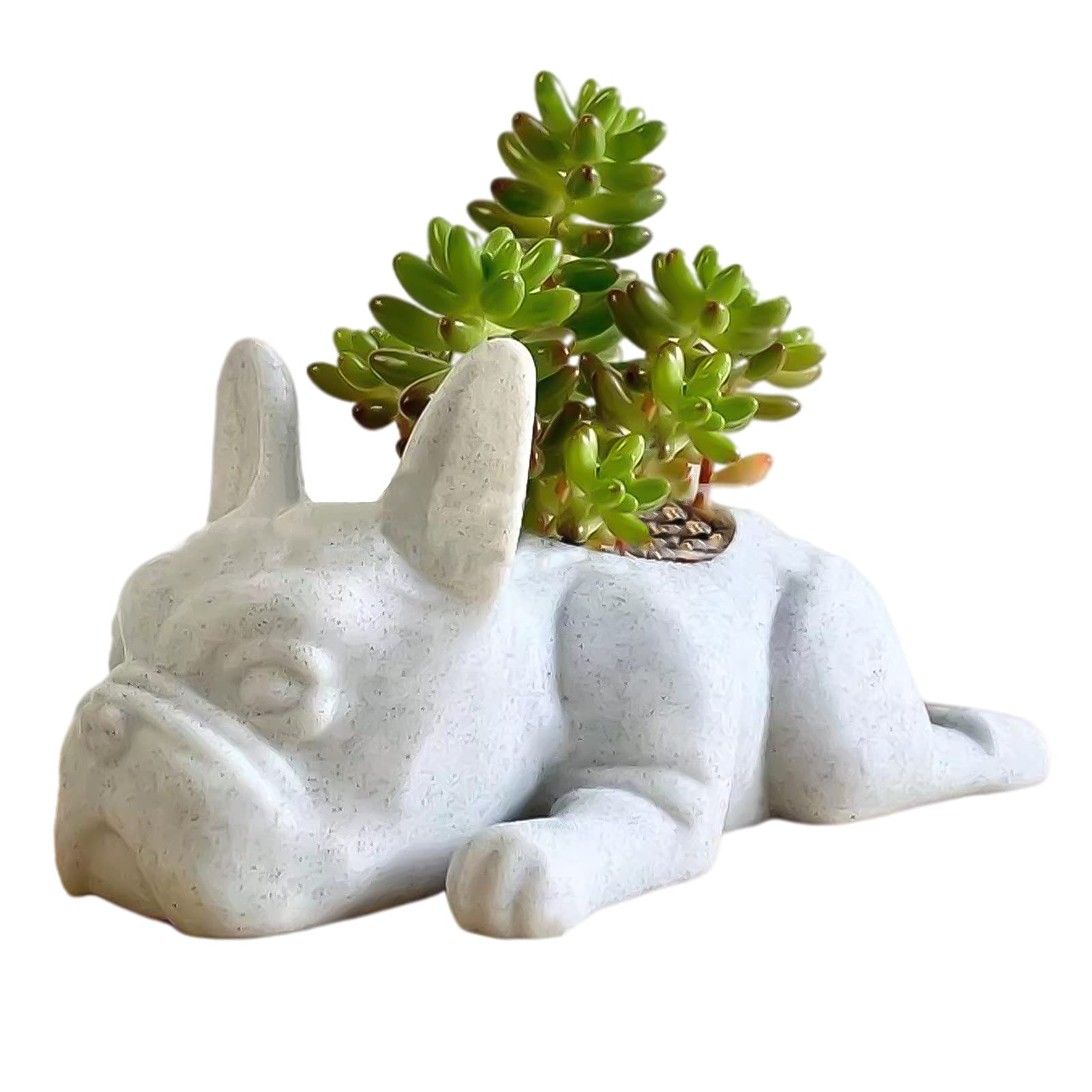 Mini Puppy Air Plant Holder - Resin Dog Planter for Small Air Plants & Succulents | Cute Indoor Home & Office Desk Decor | Perfect Gift Idea (4 x 2 x 1.4 inch) | Ideal for Living Rooms, Bedrooms & Workspaces