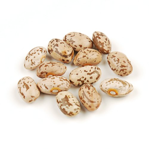 Organic Pinto Beans - 10 Pound Bulk Box | Non-GMO, Gluten-Free, High Protein | Perfect for Soups, Stews, and Mexican Dishes
