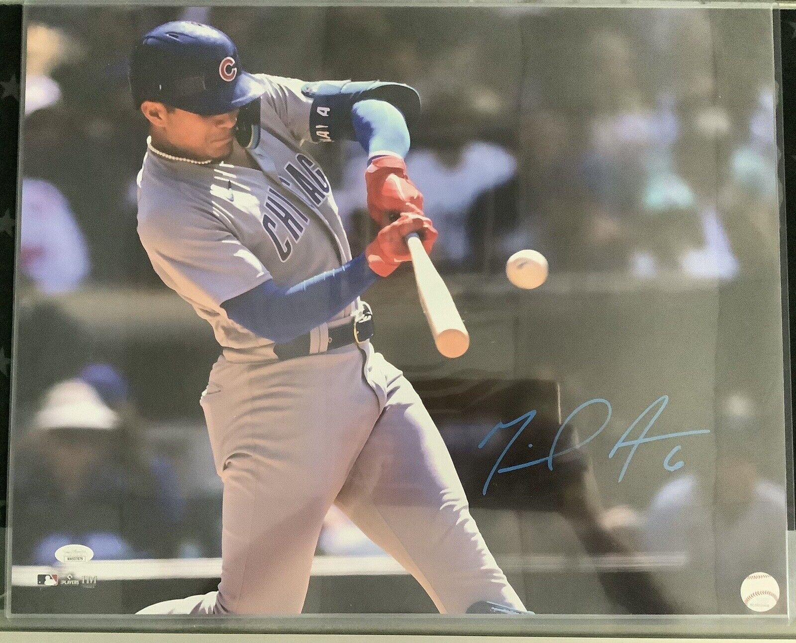 Miguel Amaya Autographed 16x20 Baseball Photo with JSA COA - Perfect for Chicago Cubs Fans, Sports Memorabilia Collectors, and Man Cave Decor