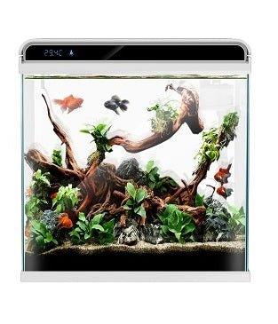 Ultra Clear Glass Nano LED Light Fish Tank 12L White - Perfect for Home, Office, or Aquarium Decor