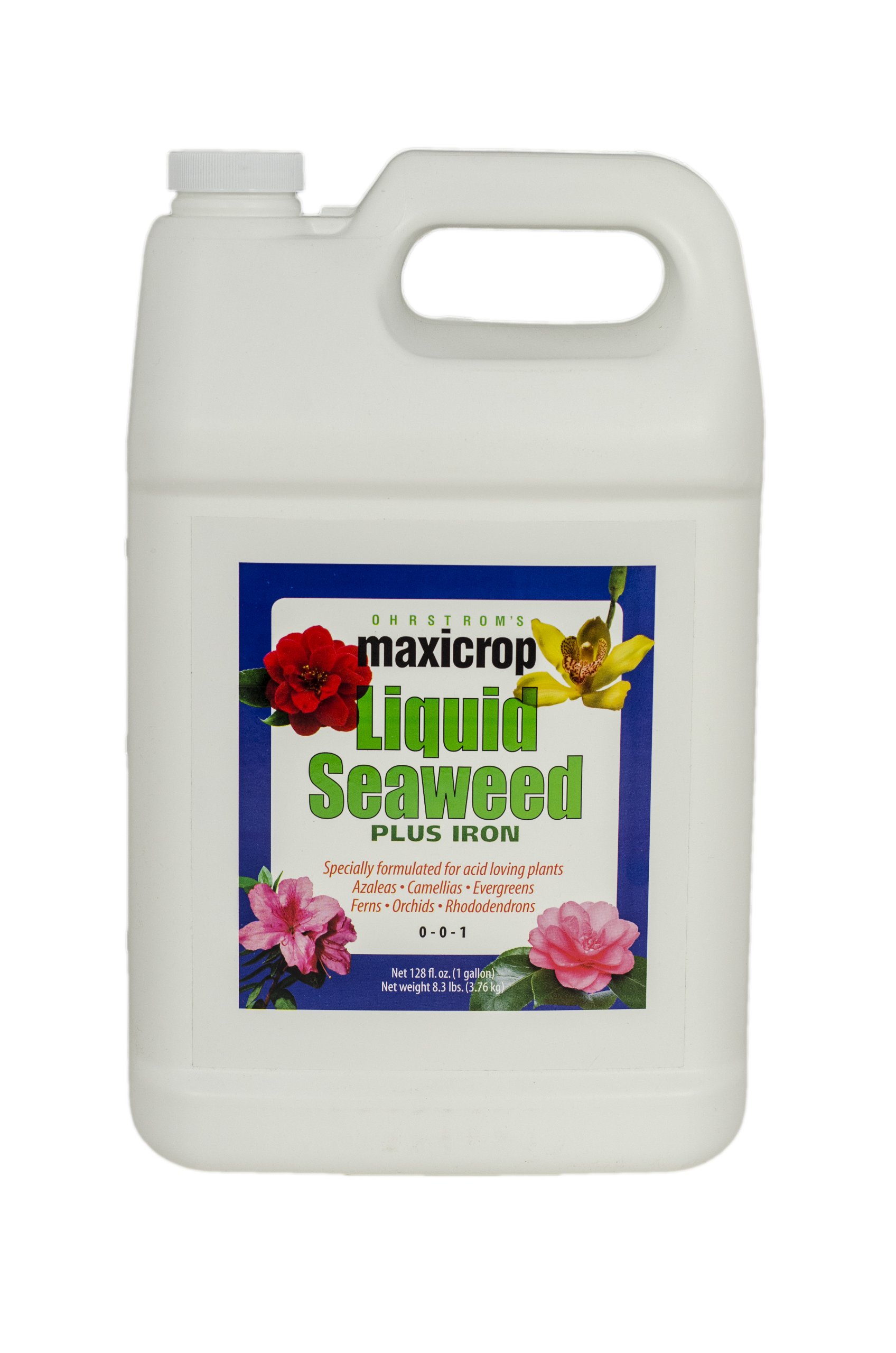 Liquid Seaweed Fertilizer with Iron for Plants - 1 Gallon Concentrate for Indoor, Outdoor, Hydroponics & Organic Gardening