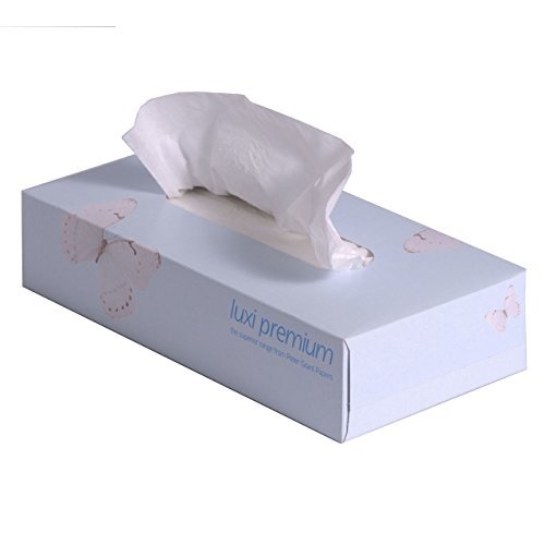 Premium Soft Facial Tissues Box - 100 Count (24 Pack Bulk) for Home, Office & Travel Use