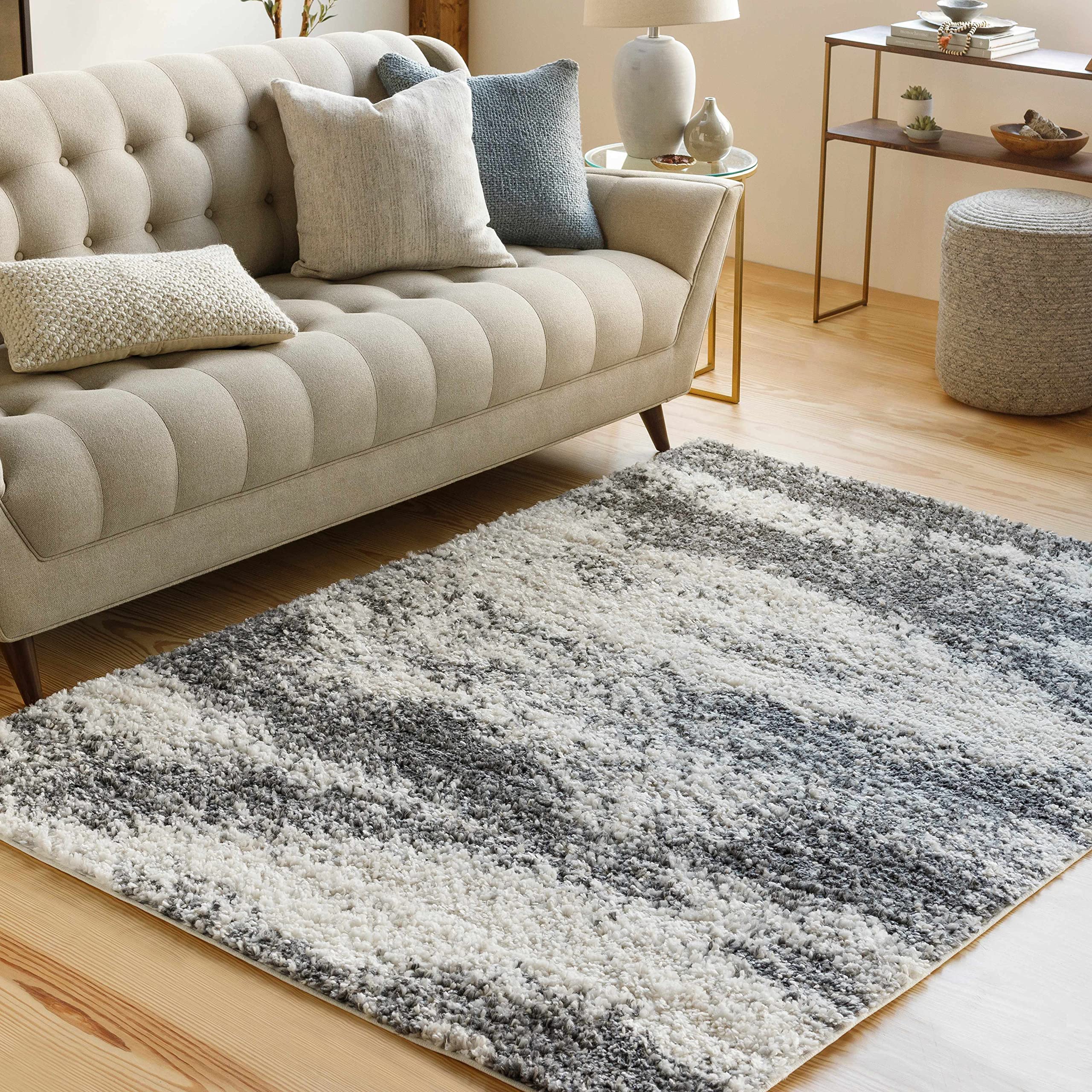 Hauteloom Taboc Modern Plush Area Rug 5'3