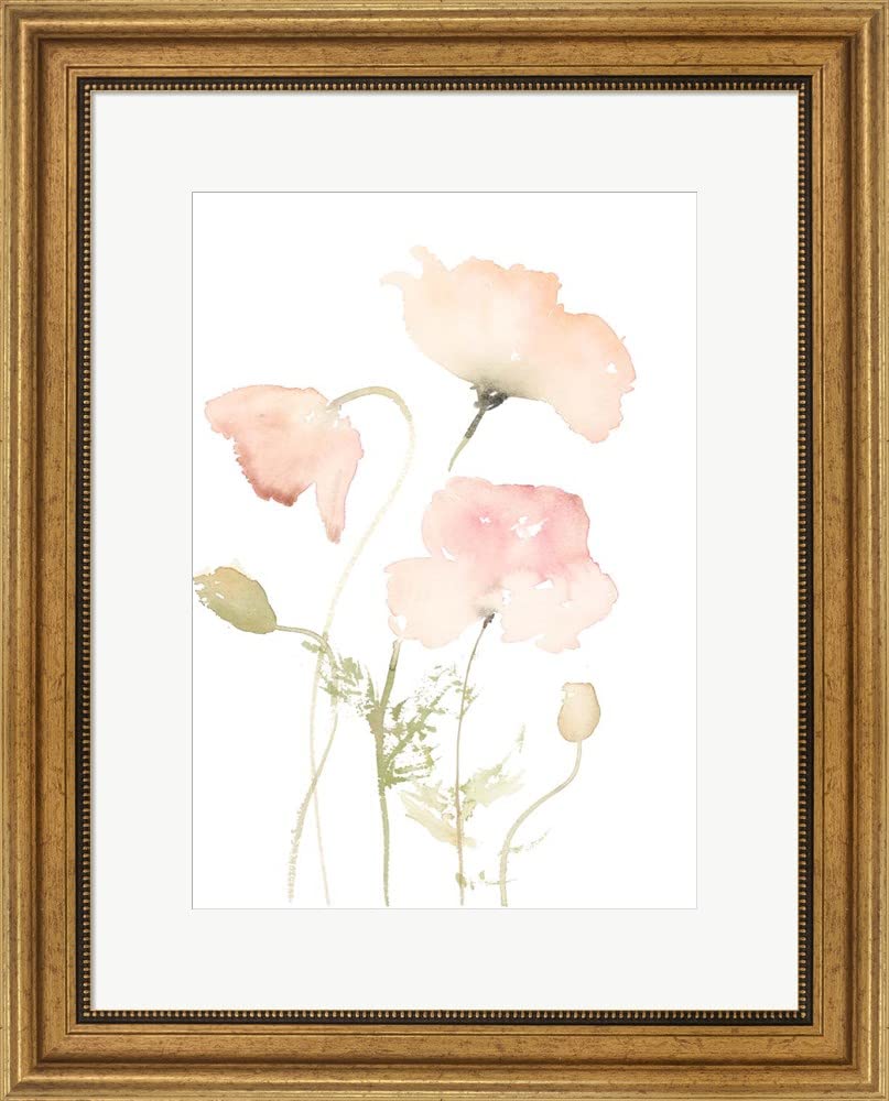 Early Summer Poppies II Framed Art Print by Lanie Loreth - 20x24 Inch Wall Decor with Gold Frame - Perfect for Living Room, Bedroom & Office Decor