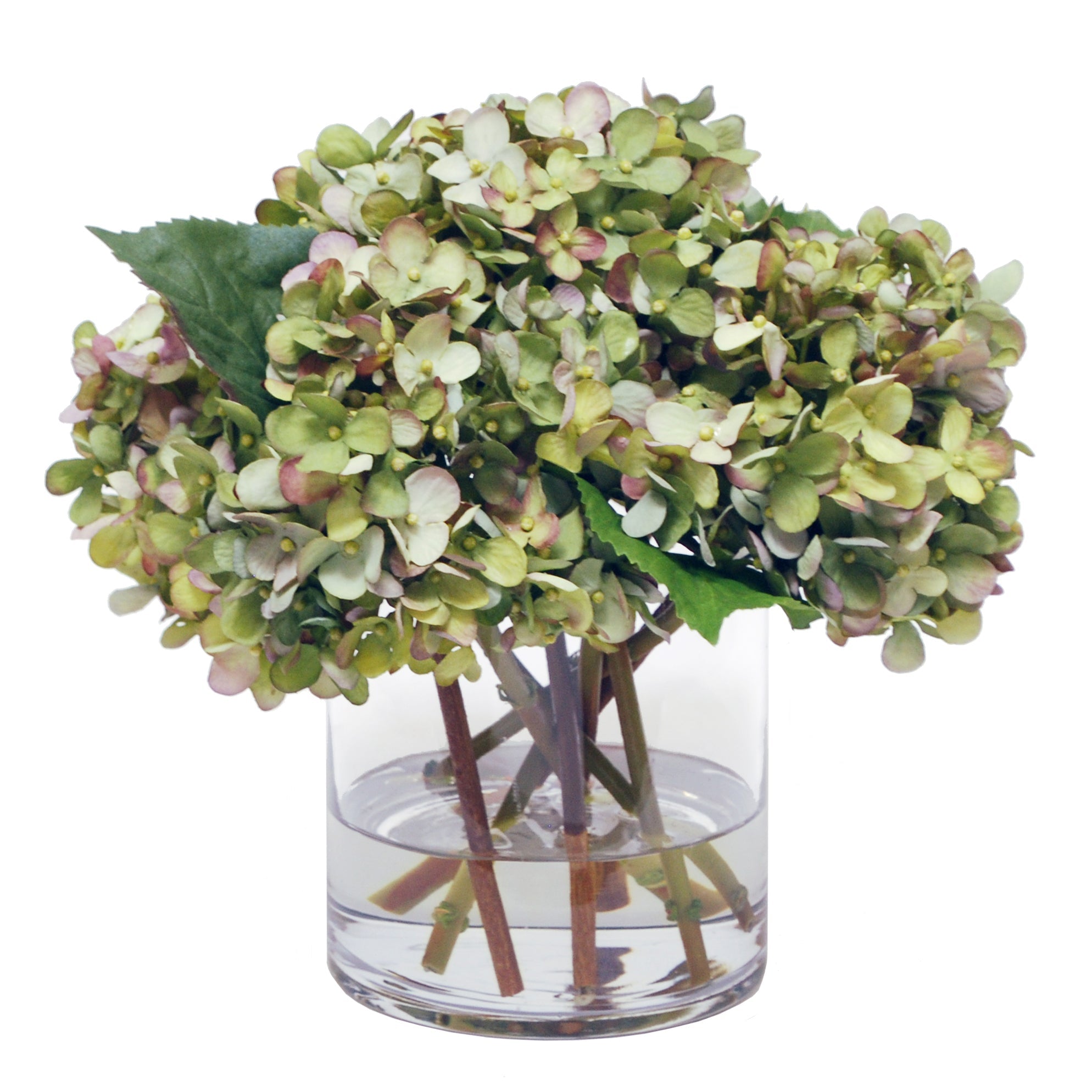 Beautiful Hydrangeas in Glass Vase - Fresh Cut Flowers for Home Decor, Wedding Centerpieces & Gift Ideas