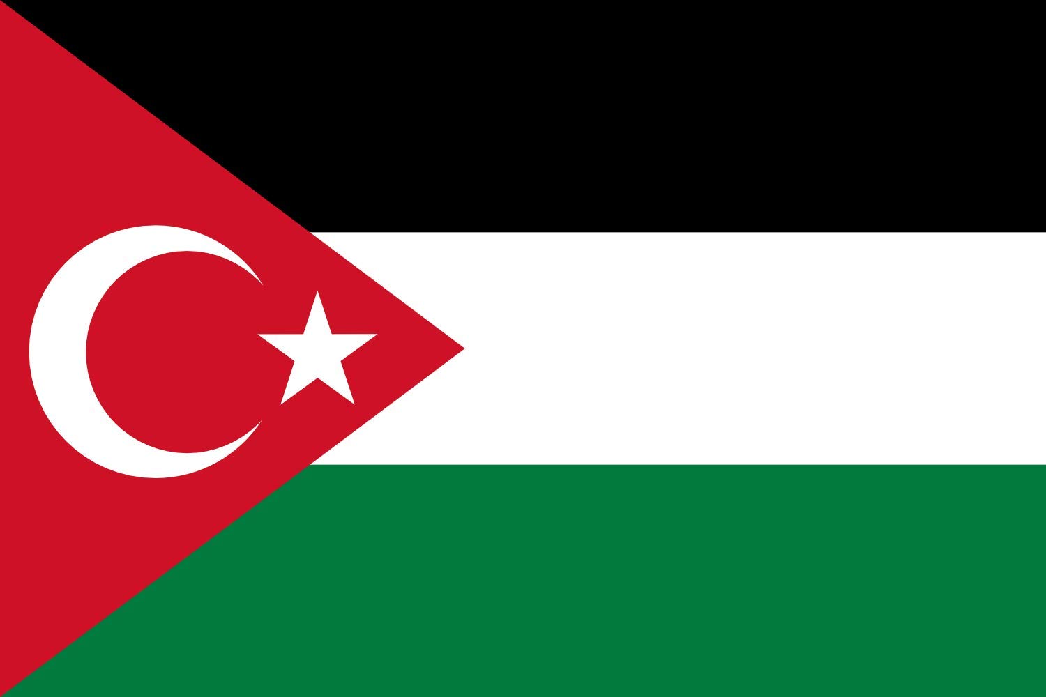 Gaza-Turkey Solidarity Large Outdoor Flag 3x5ft (90x150cm) | Durable 100% Made in Germany | Weather-Resistant Landscape Banner for Protests, Rallies & Home Decoration