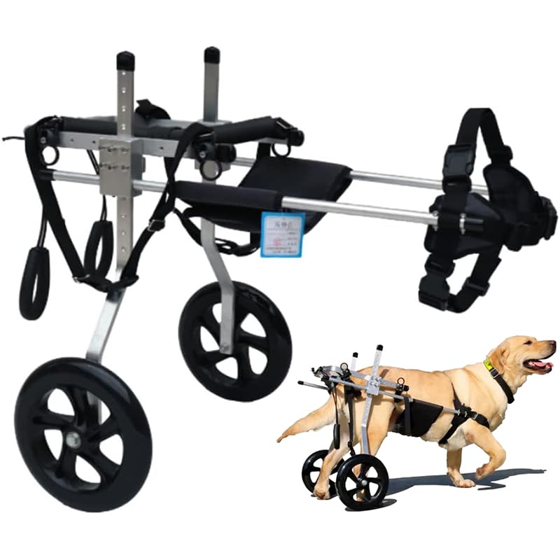 Adjustable Dog Wheelchair for Large Pets - 2-Wheel Hind Leg Support for 15-60kg Dogs & Cats | Mobility Aid for Disabled & Injured Pets | Perfect for Rehabilitation & Daily Walks