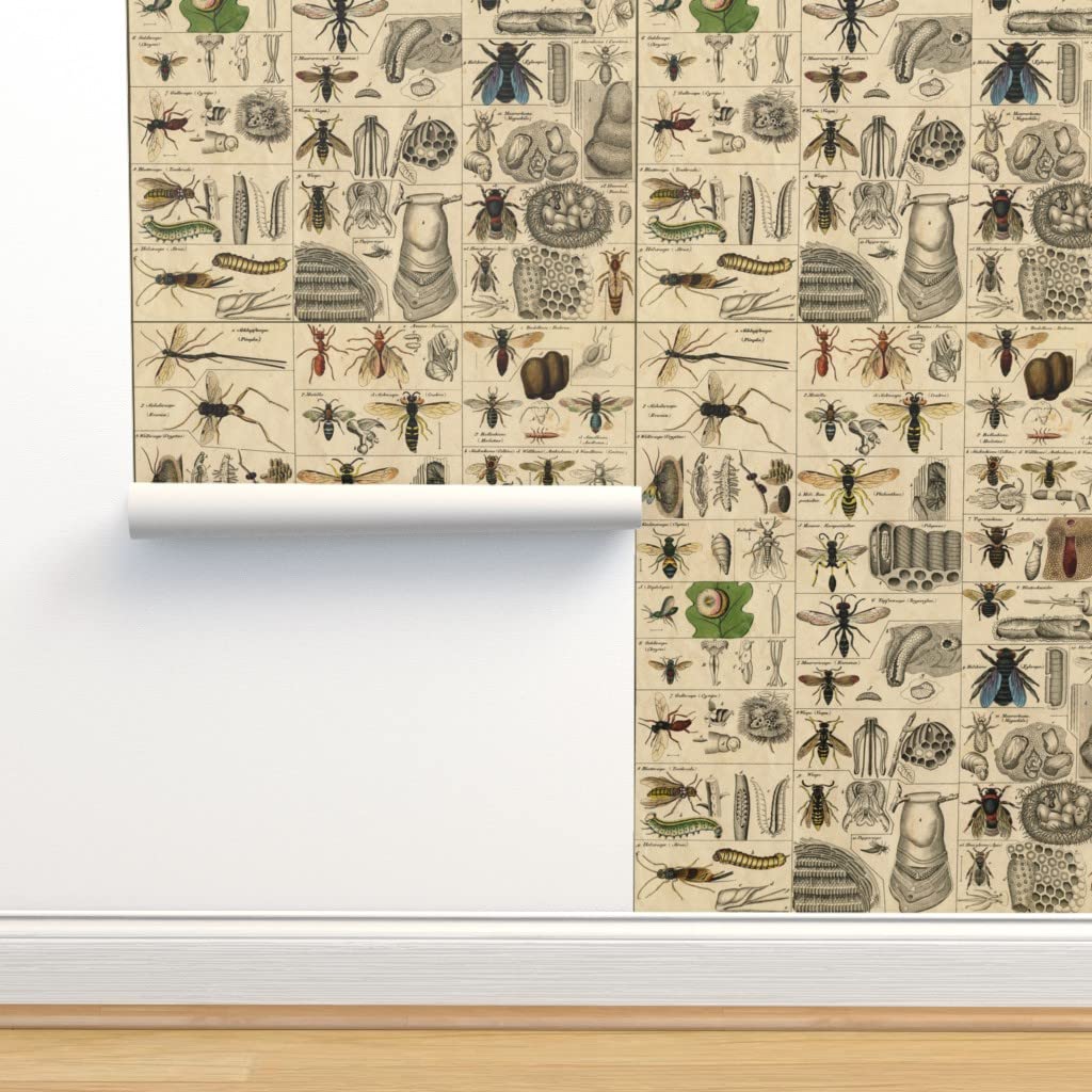 12ft x 2ft Removable Halloween Wallpaper - Bees & Insects Entomology Design, Pre-Pasted Peel & Stick Wall Decor for Kids Room, Classroom, or Halloween Party Decoration