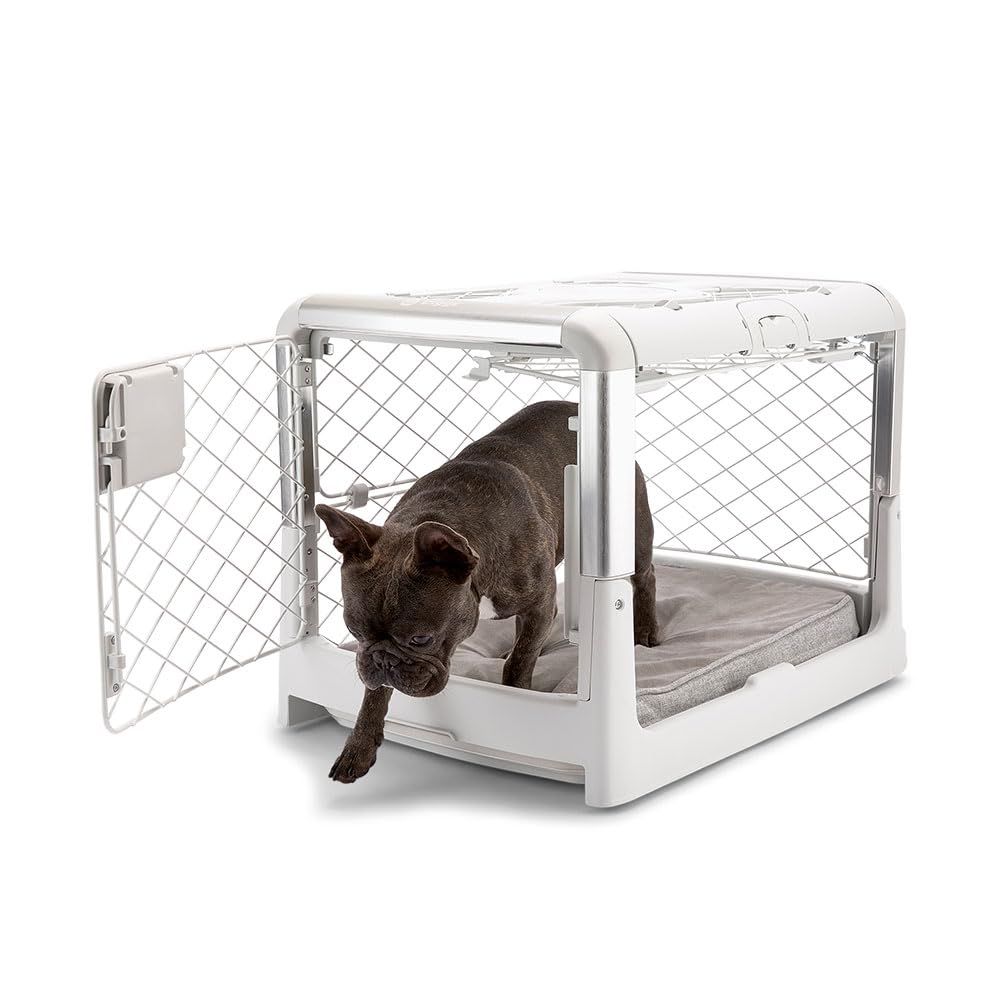 DIGGS Revol Collapsible Dog Crate with Wheels - Premium Portable Pet Crate for Small Dogs - Safe & Stylish Indoor Kennel for Home, Travel & Vet Visits (Ash, Small) - Perfect for Apartments, Camping & Car Rides
