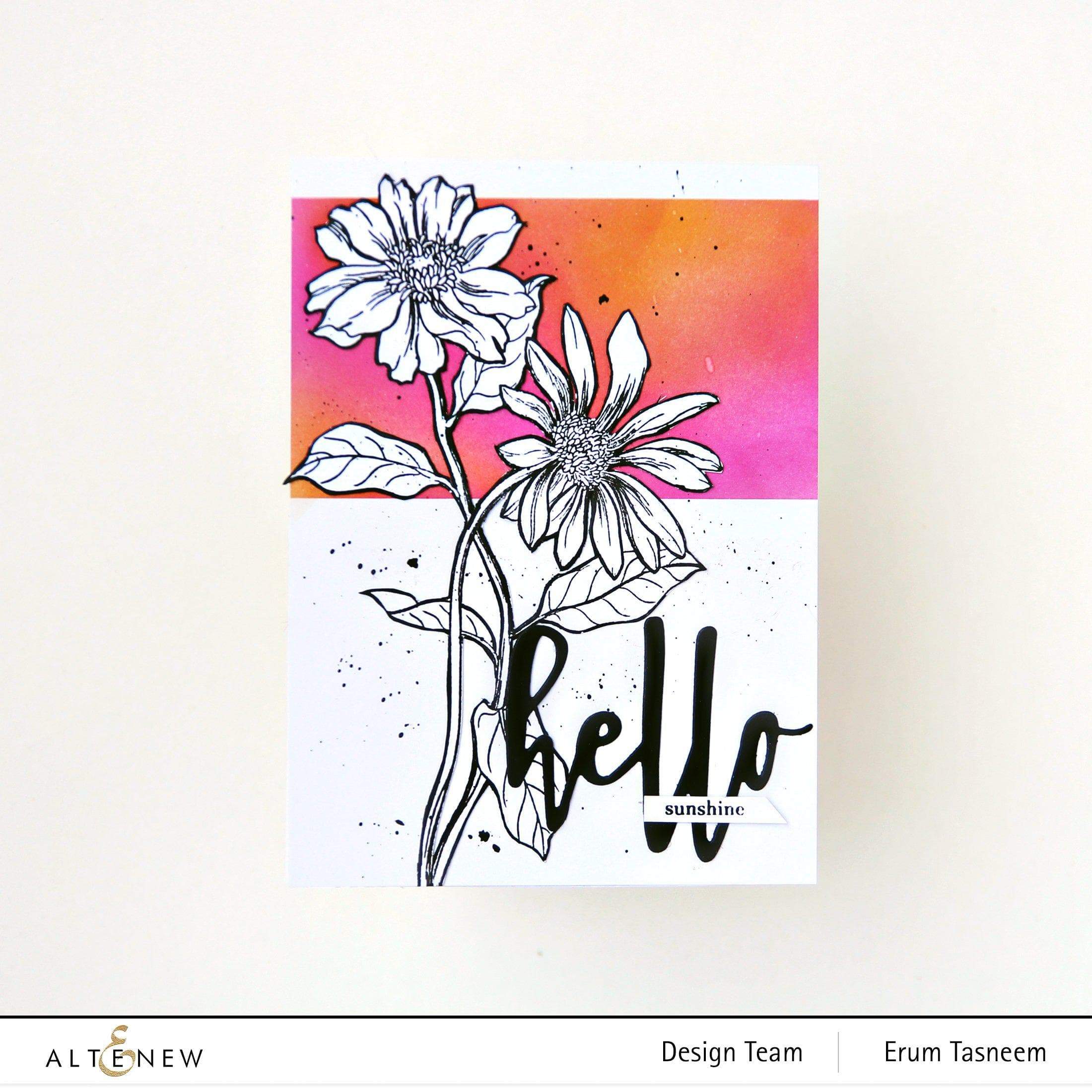 Hello and Hugs - Heartwarming Greeting Cards for Birthdays, Anniversaries & Special Occasions - Perfect for Gifting Loved Ones