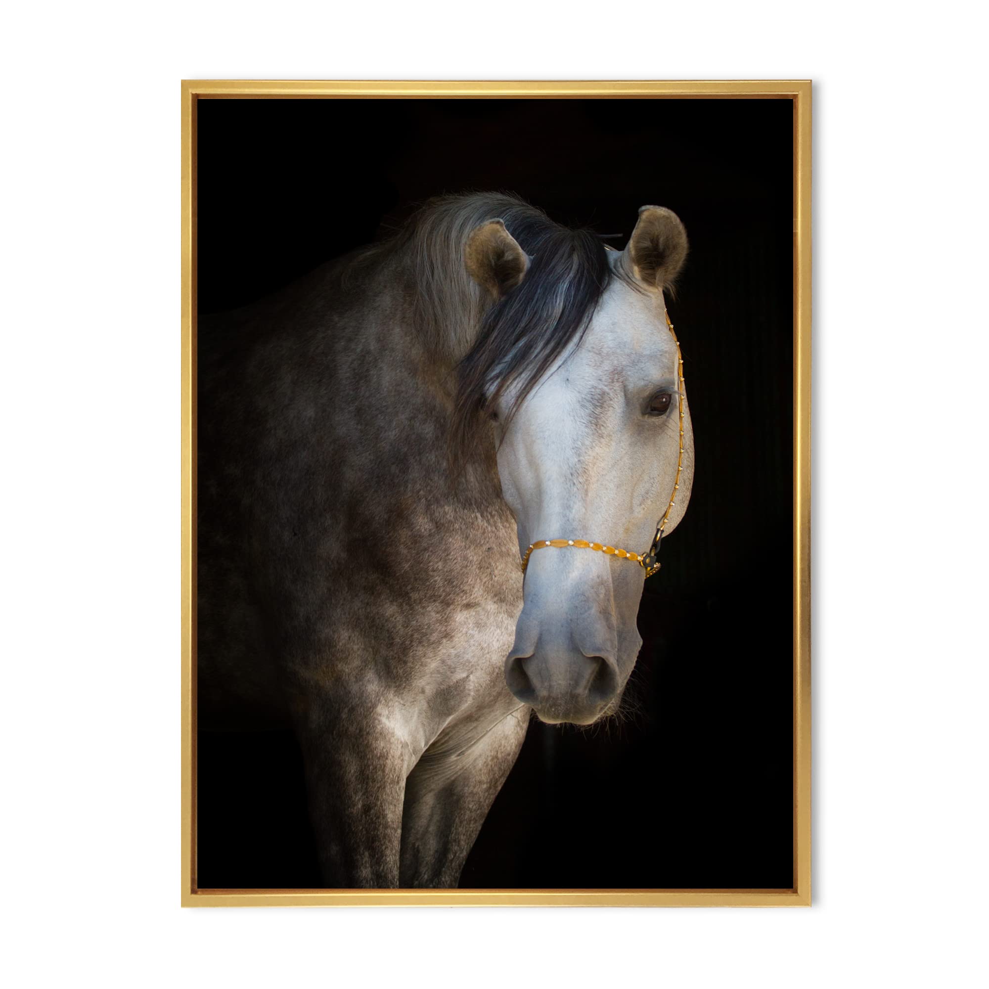 White Horse Portrait - Farmhouse Framed Canvas Wall Art Print for Living Room, Bedroom & Office Decor