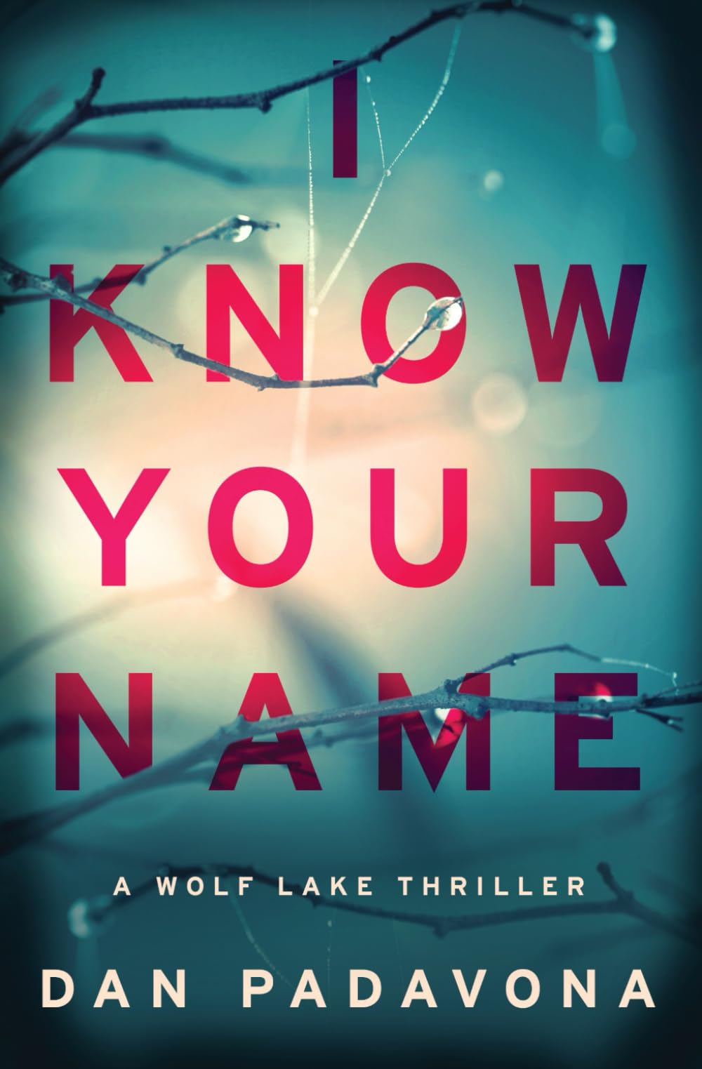 Chilling Psychological Thriller - I Know Your Name | Wolf Lake Series for Mystery Lovers