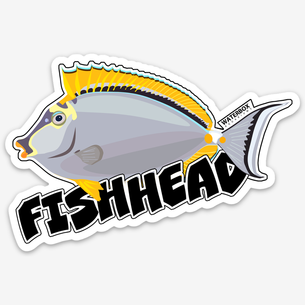Fishhead Mango Sticker - Waterproof Vinyl Decal for Laptops, Cars & DIY Crafts - Fun Tropical Fruit Design for Home Decor & Gifts