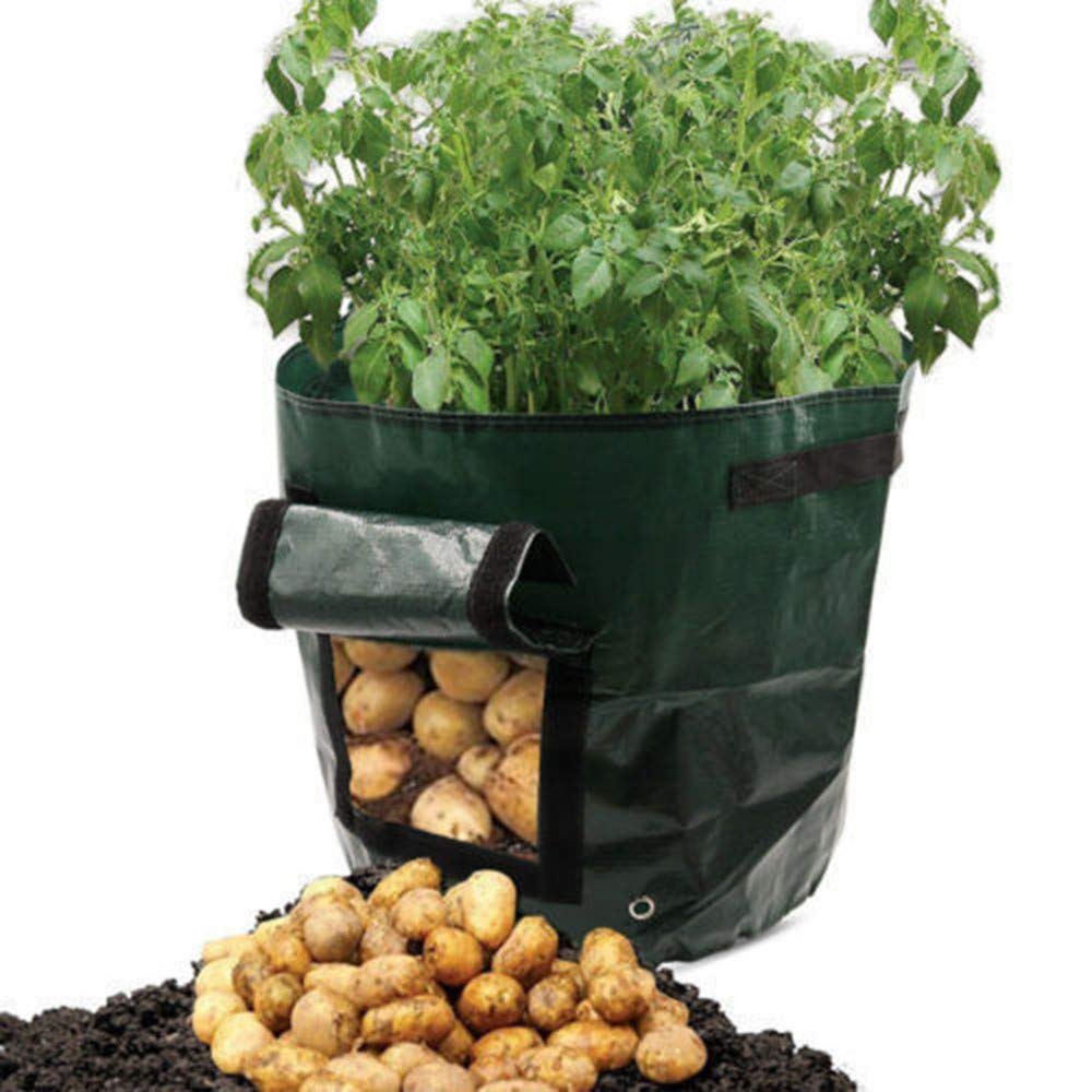 10 Gallon Potato Grow Bags - Fabric Planting Pots for Strawberries, Tomatoes & Vegetables - Breathable Garden Grow Bags with Viewing Window & Handles (Green) - Perfect for Patio, Balcony & Indoor Gardening