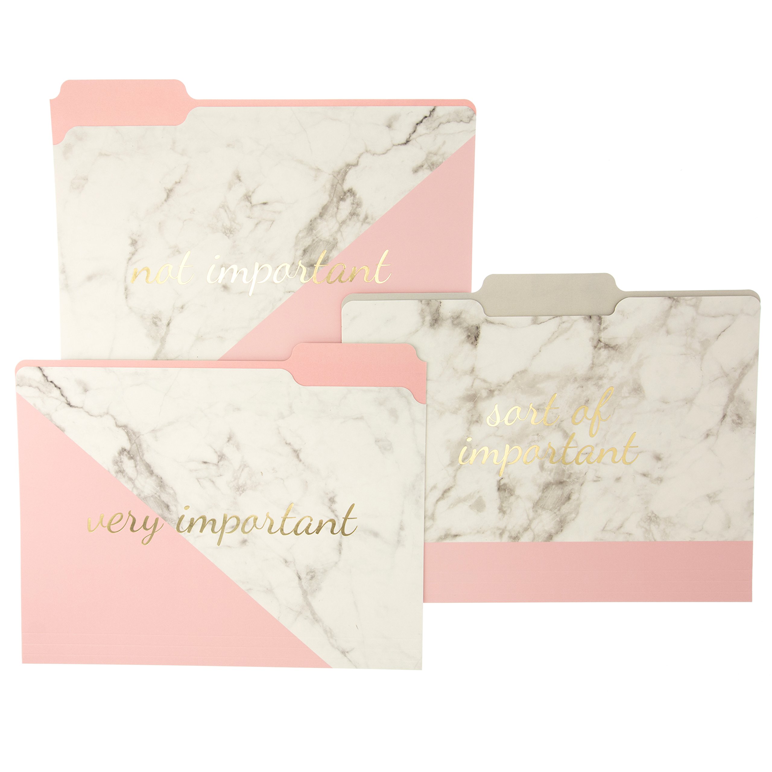 Elegant Blush Marble File Folder Set - 9 Folders & 3 Unique 'Important' Designs with Gold Foil Accents, Durable Triple-Scored Coated Cardstock, 11.75