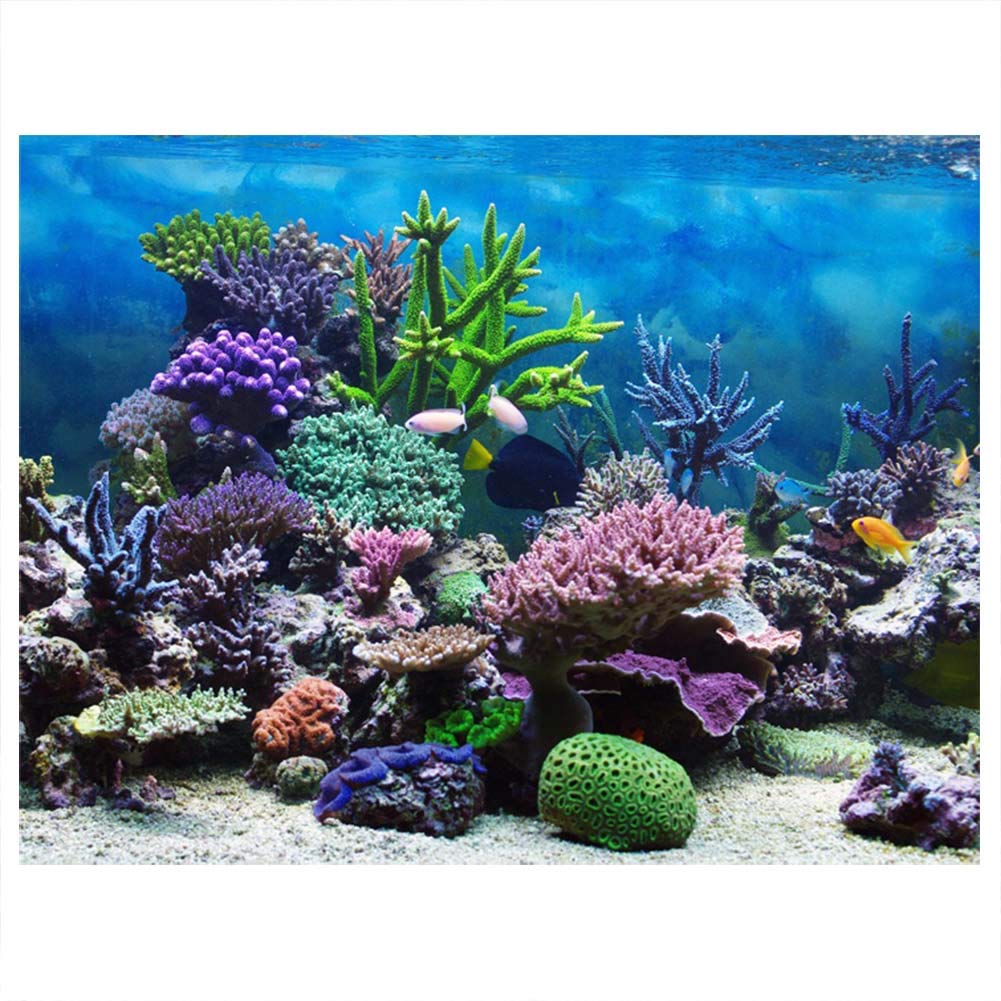 Thick PVC Aquarium Fish Tank Poster - Underwater Coral Backdrop for Marine Tanks