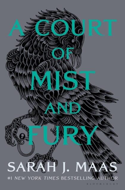 A Court of Mist and Fury by Sarah J. Maas - Bestselling Fantasy Romance Novel | Perfect for Book Clubs & Fantasy Lovers