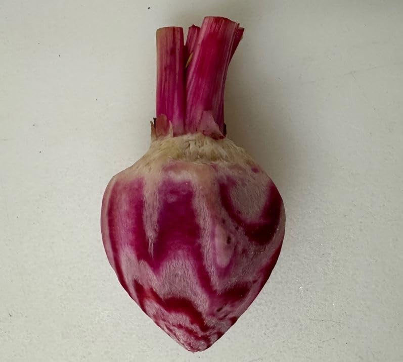 Fresh Hand-Carved Candy Stripe Baby Beets - 1