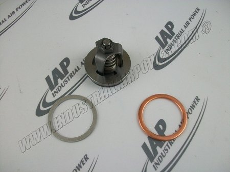 Z11938 Suction Valve Replacement Part - Compatible with Champion Air Compressors | High-Performance Air Tool Accessory for Industrial & Home Workshop Use