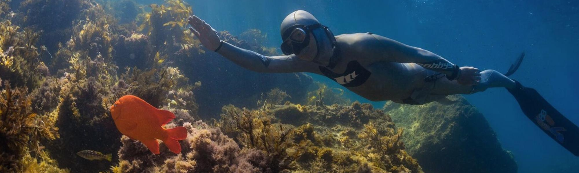 PADI Basic Freediver Course - Learn Freediving Skills for Beginners | Scuba Diving, Snorkeling & Underwater Exploration