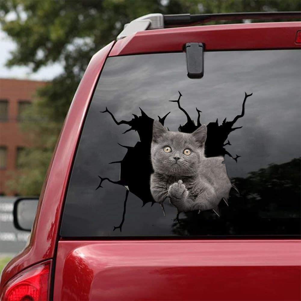 Funny Cat Car Decals Pack of 2 - 10