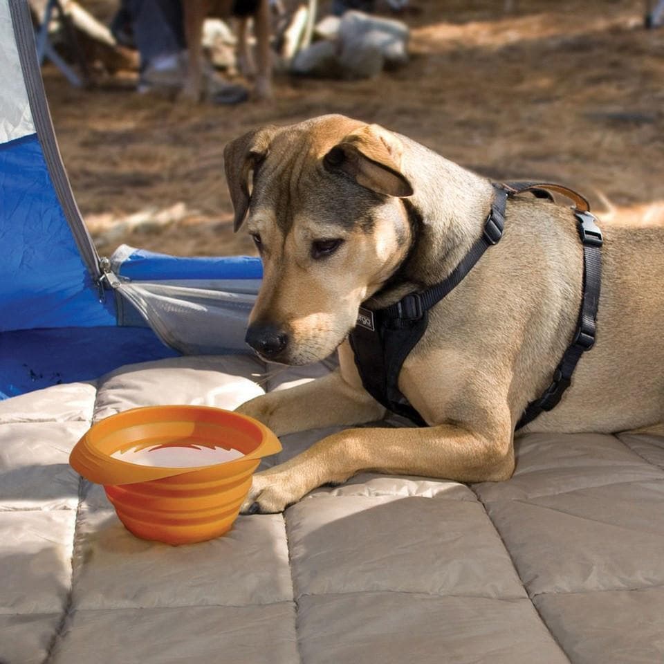 Kurgo Collapsible Red Folding Travel Bowl for Dogs - Portable Pet Food & Water Dish for Hiking, Camping & Road Trips