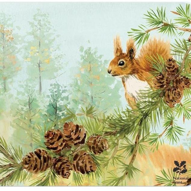 National Trust Red Squirrel Non-Slip Heat Resistant Kitchen Countertop Protector - Perfect for Dining Tables, Kitchen Islands & Countertops