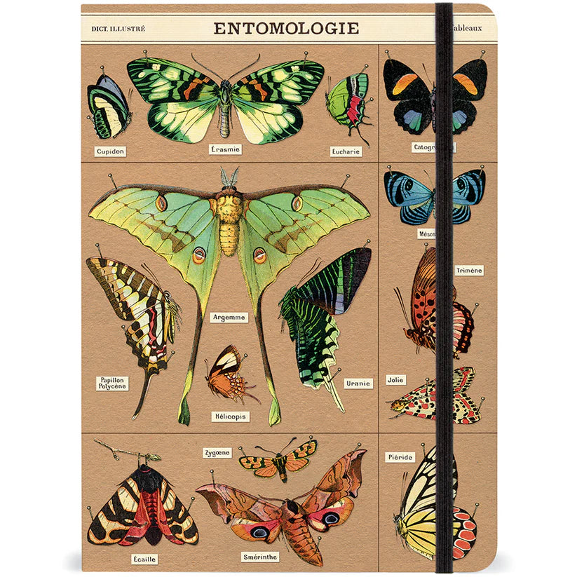 Cavallini & Co. Large Entomology Notebook - Vintage Insect Design Journal for Writing, Sketching & Note Taking - Perfect for Students, Artists & Nature Lovers