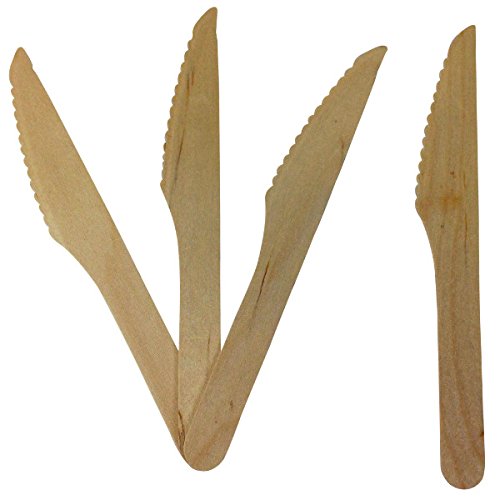 Just Artifacts 100pcs Natural Wooden Cutlery Set - Blank Knives, Forks & Spoons - Eco-Friendly Disposable Utensils for Parties, Picnics, Camping & Catering Events