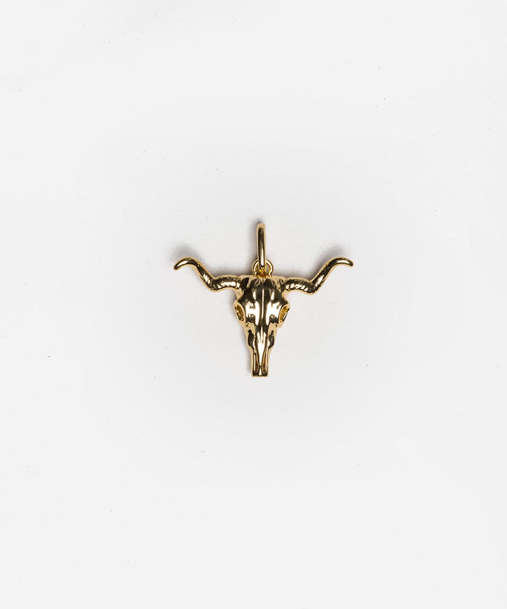 Longhorn Hat Charm - Western Style Cowboy Hat Accessory for Men & Women - Perfect for Rodeo, Country Music Festivals & Outdoor Adventures