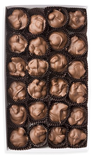 Mrs. Cavanaugh's 3 lb Almond Clusters in Milk Chocolate - Gourmet Candy Gift for Holidays, Parties & Office Treats