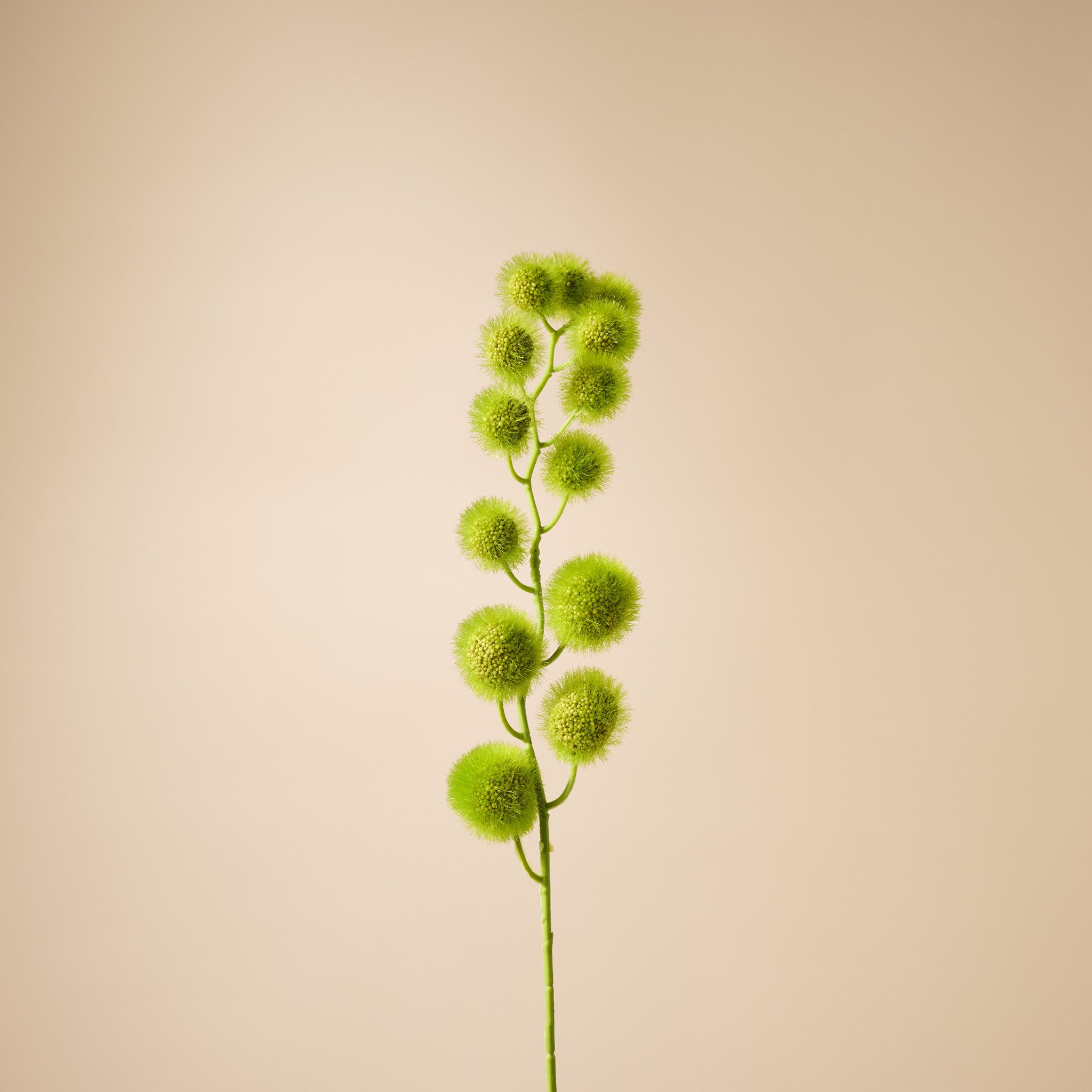Artificial Mini Milkweed Stems - 80cm Green Faux Plants for Home Decor, Wedding Centerpieces, and Floral Arrangements