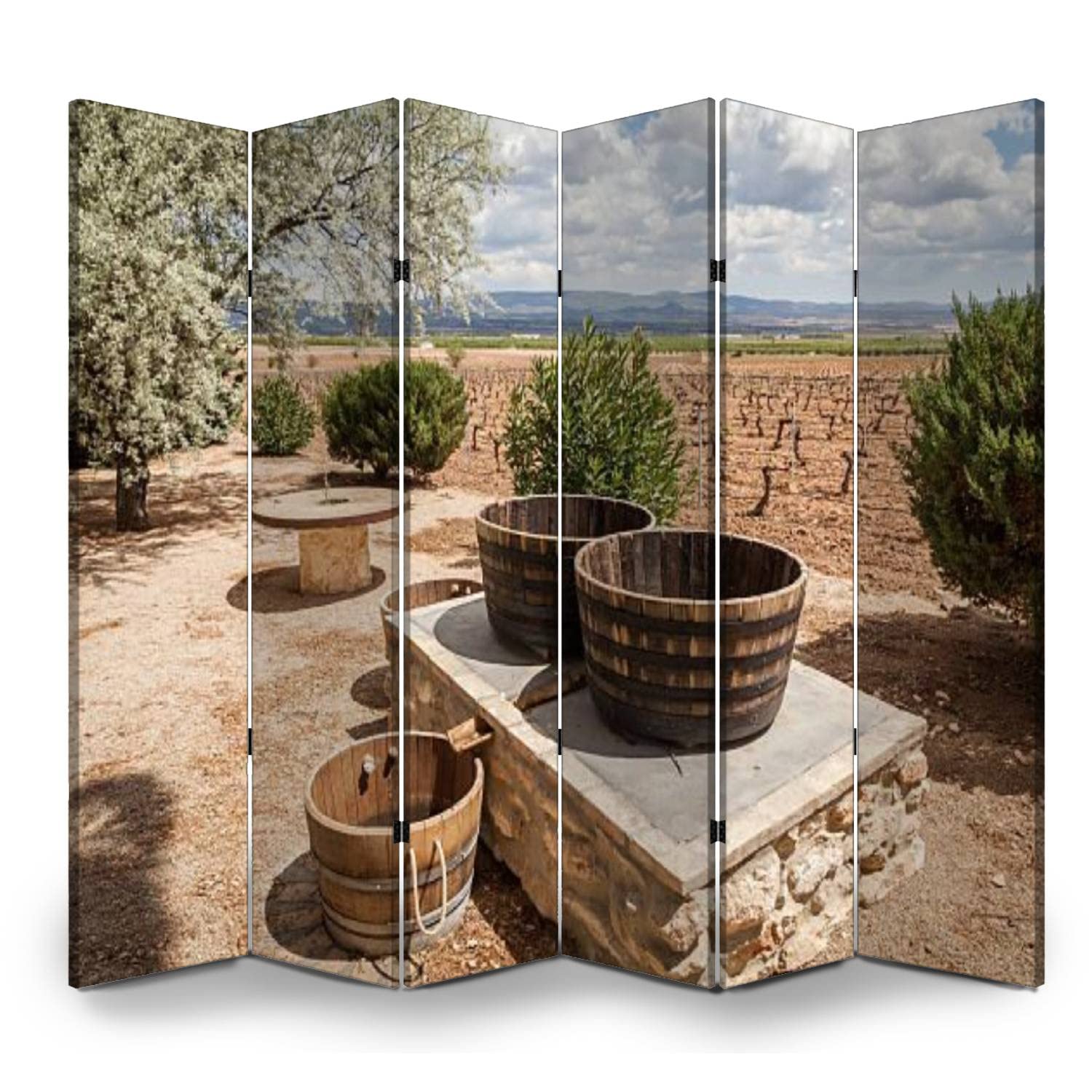 6 Panel Canvas Room Divider Screen - La Rioja Wine Country Landscape with Mountains, Clouds & Sky - Privacy Partition for Home, Office, Bathroom | Perfect for Creating Private Spaces in Studios, Dorms & Event Decor