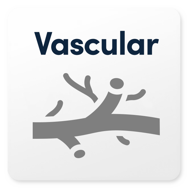 Advanced Vascular Package - Premium Medical Supplies for Vascular Procedures | Ideal for Hospitals, Clinics & Emergency Care